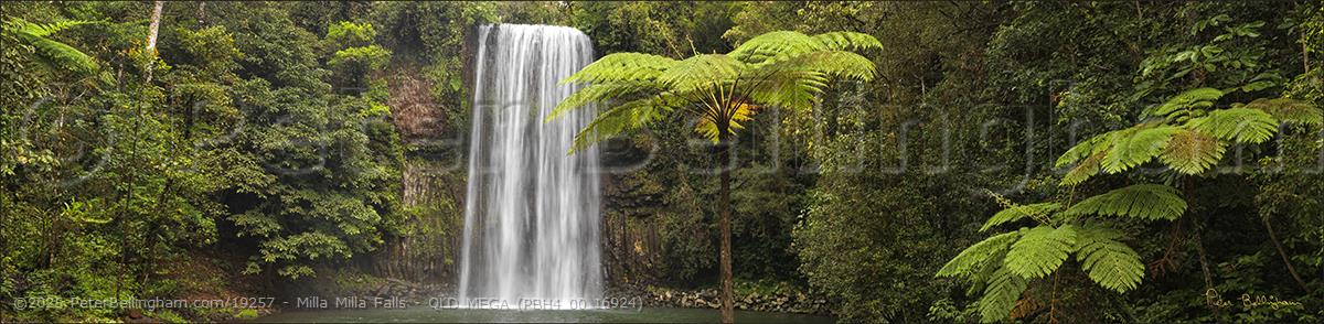Peter Bellingham Photography Milla Milla Falls - QLD MEGA (PBH4 00 16924)